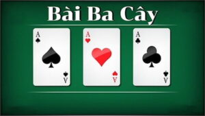 Giới thiệu về 3 Cây VT999
