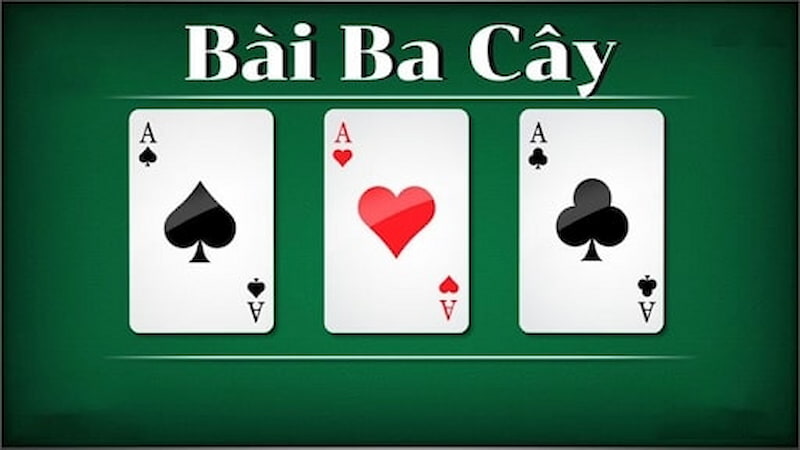 Giới thiệu về 3 Cây VT999
