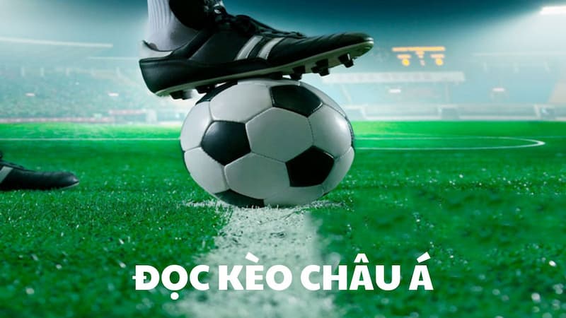 Hướng dẫn tân thủ cách đọc kèo châu Á đơn giản